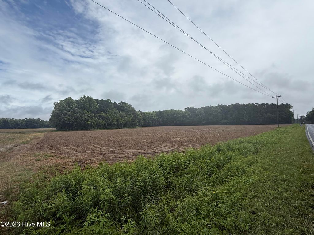 Photo of 1336 Owen Hill Road, Tar Heel, NC 28392 (MLS # 100572024)