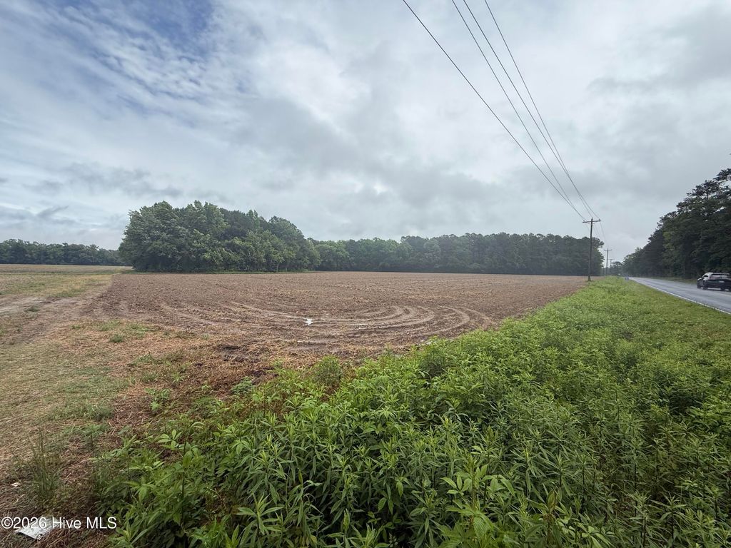 Photo of 1336 Owen Hill Road, Tar Heel, NC 28392 (MLS # 100572024)
