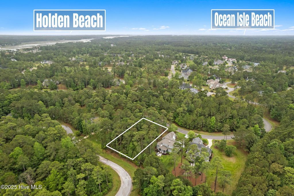 Photo of 310 Bay Hill Court, Shallotte, NC 28470 (MLS # 100571308)
