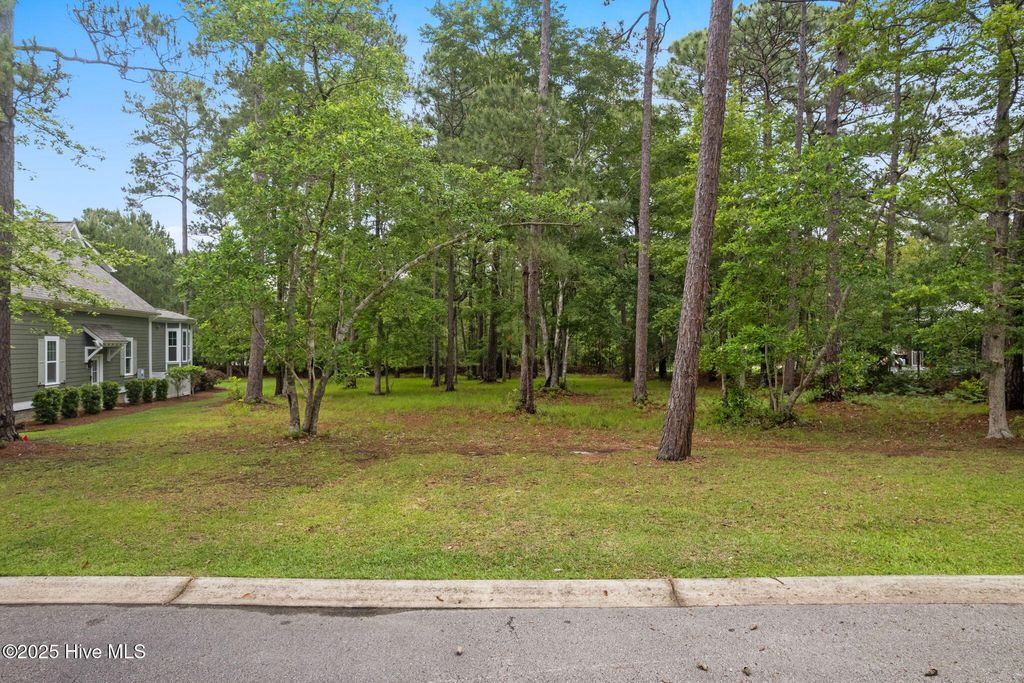 Photo of 310 Bay Hill Court, Shallotte, NC 28470 (MLS # 100571308)