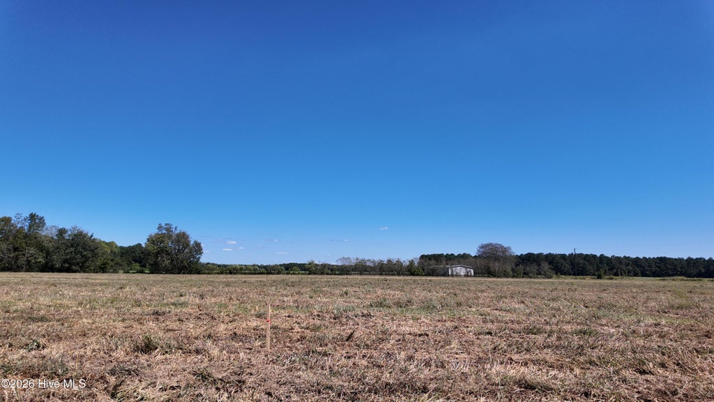 Photo of 5 S Nc 41 Highway, Wallace, NC 28466 (MLS # 100608776)