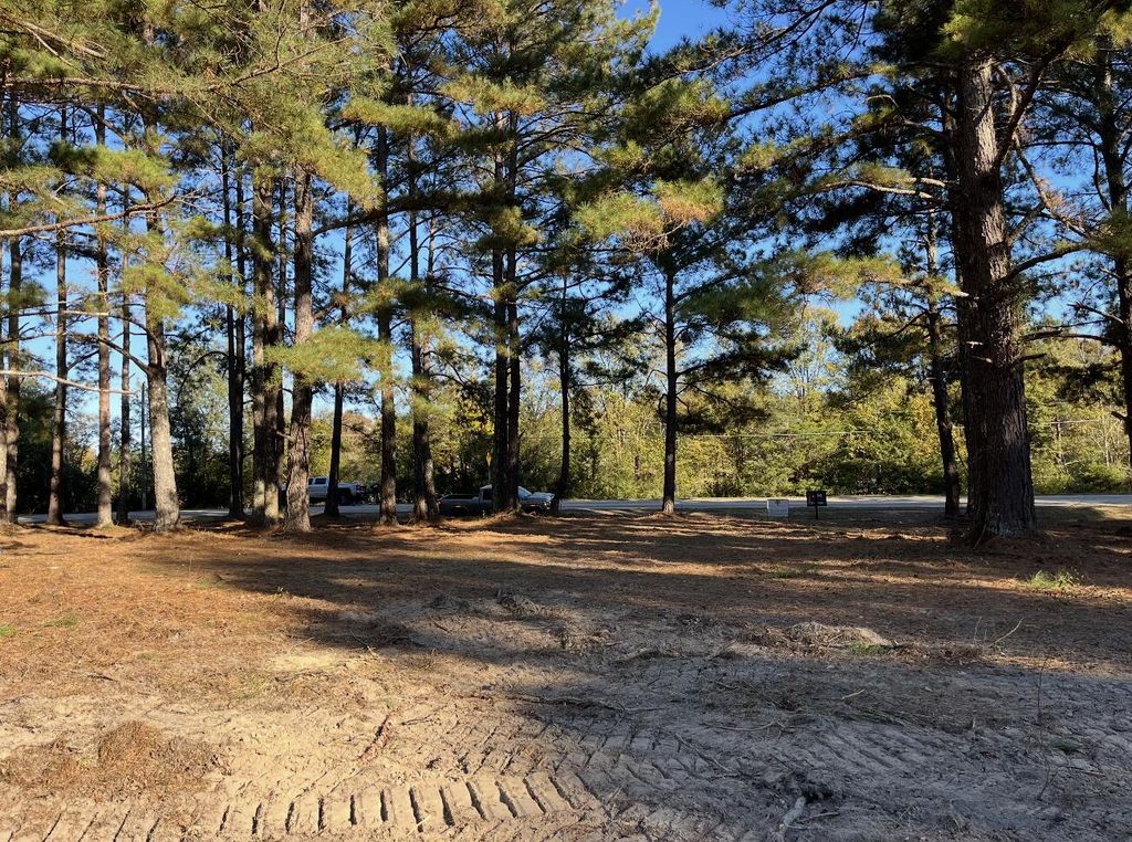 Photo of 2400 Morris Callaway Road, Appling, GA 30802 (MLS # 551133)