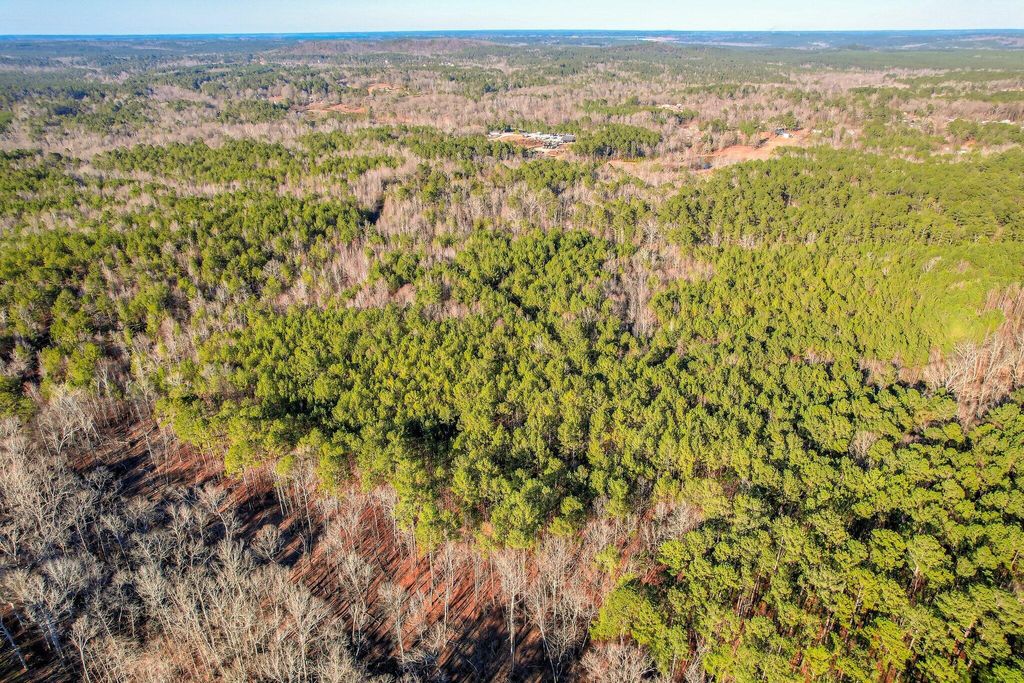 Photo of 5485 Tubman Road, Appling, GA 30802 (MLS # 551639)