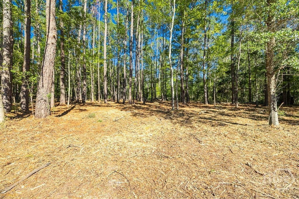 Photo of 5590 Highway 17, Guyton, GA 31312 (MLS # SA366401)