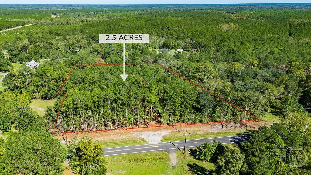 Photo of 5590 Highway 17, Guyton, GA 31312 (MLS # SA366401)