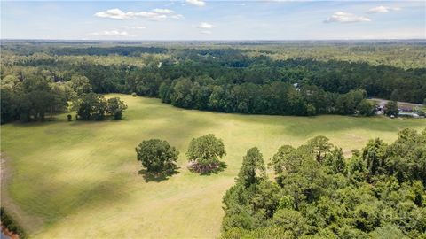 Vacant Land For Sale - 35+ ACRES Wells Road<br/> Liberty County, Hinesville, GA 31313