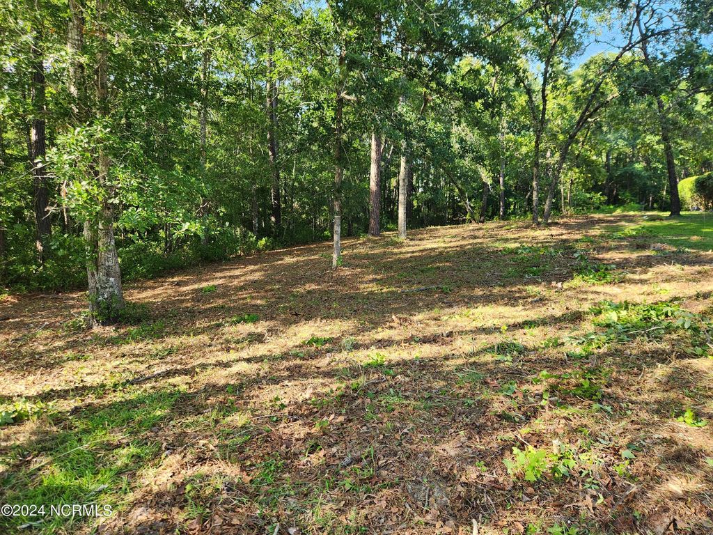 Photo of 806 Cedarhurst Drive SE, Bolivia, NC 28422 (MLS # 100455886)