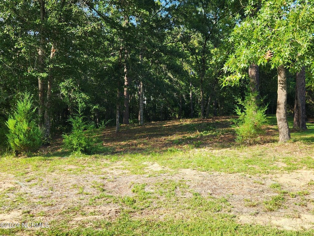 Photo of 806 Cedarhurst Drive SE, Bolivia, NC 28422 (MLS # 100455886)