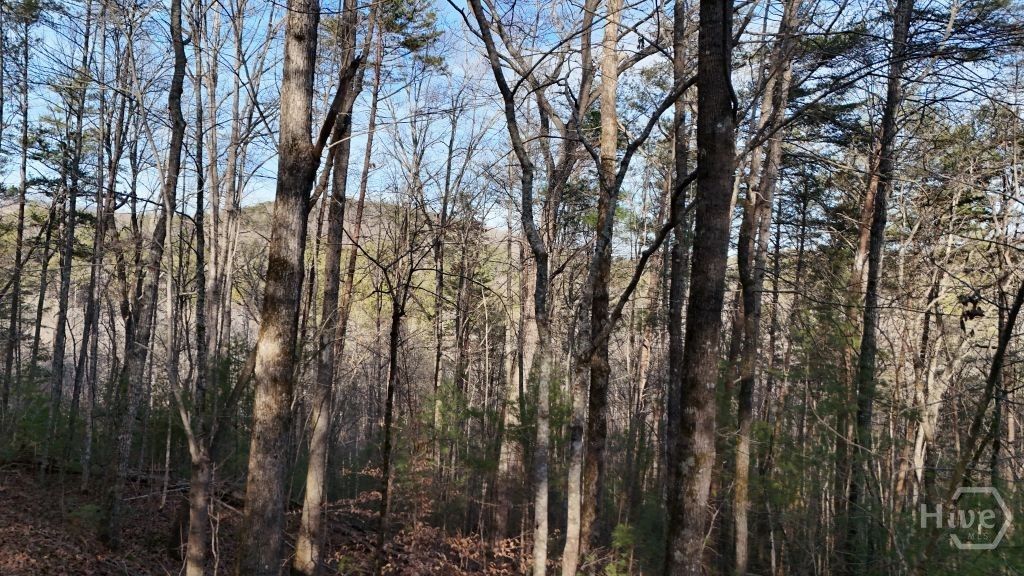 Photo of 00 Gold Valley Road, Sautee Nacoochee, GA 30571 (MLS # CL347508)