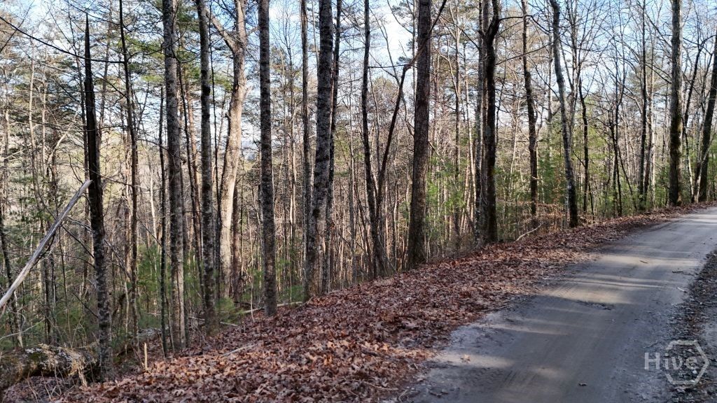 Photo of 00 Gold Valley Road, Sautee Nacoochee, GA 30571 (MLS # CL347508)