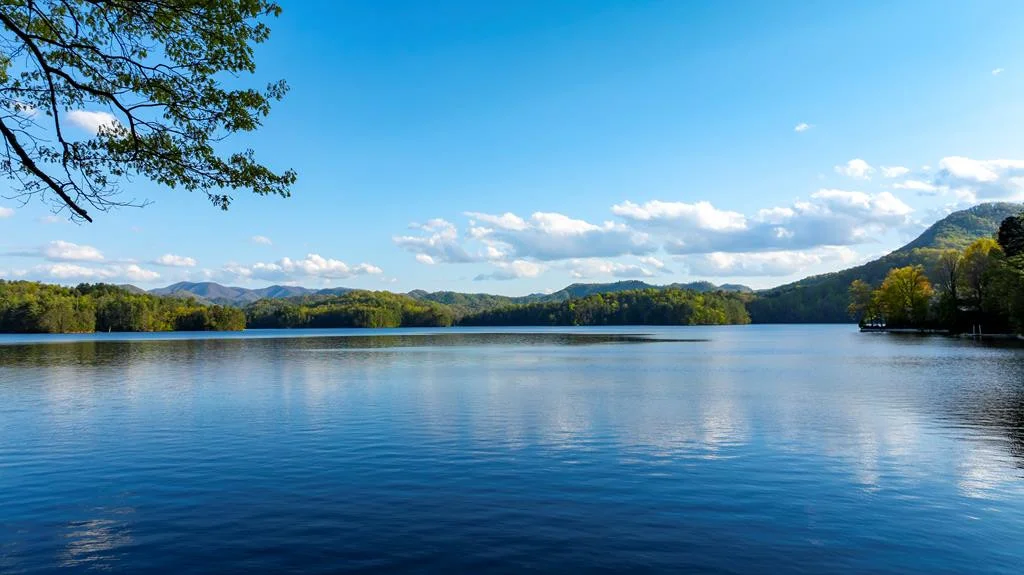 10 Santeetlah Lakeside