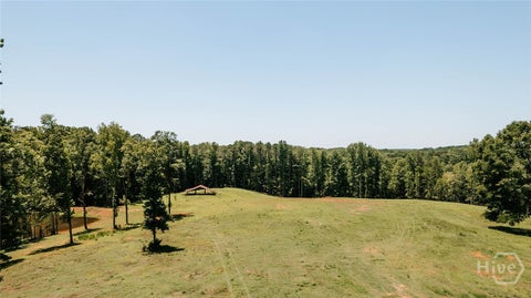 Vacant Land For Sale - Mitchell Farm Road<br/> Colbert, GA 30628