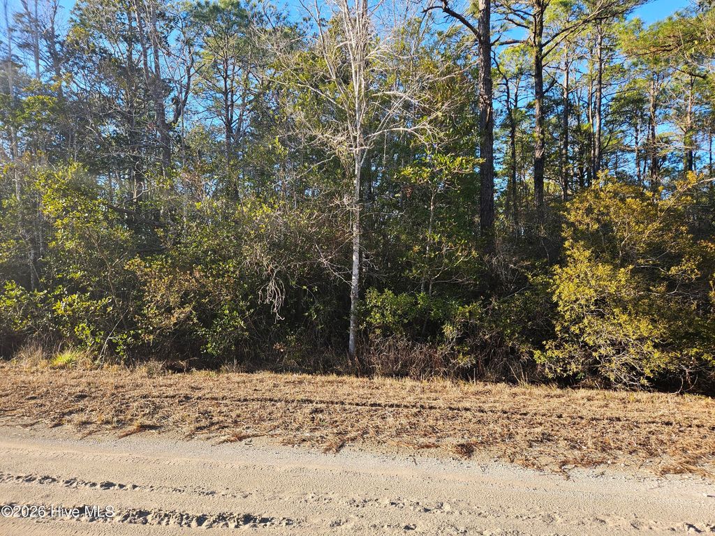 Photo of 68 New Hanover Road, Boiling Spring Lakes, NC 28461 (MLS # 100550112)