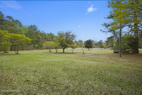 Tiny photo for 465 Annandale Trace, Hampstead, NC 28443 (MLS # 100566631)