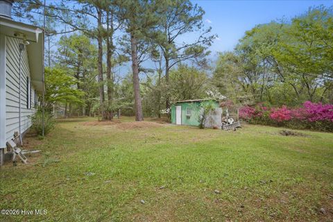 Tiny photo for 465 Annandale Trace, Hampstead, NC 28443 (MLS # 100566631)
