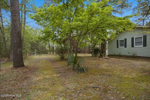Tiny photo for 465 Annandale Trace, Hampstead, NC 28443 (MLS # 100566631)
