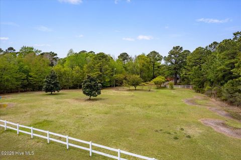Tiny photo for 465 Annandale Trace, Hampstead, NC 28443 (MLS # 100566631)
