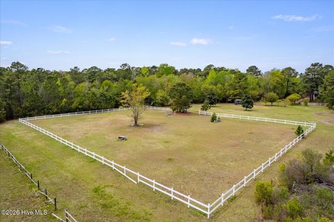 Tiny photo for 465 Annandale Trace, Hampstead, NC 28443 (MLS # 100566631)