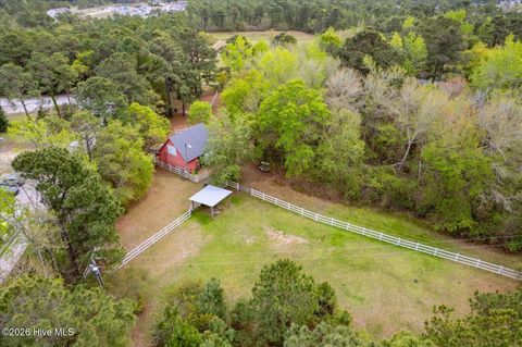 Tiny photo for 465 Annandale Trace, Hampstead, NC 28443 (MLS # 100566631)