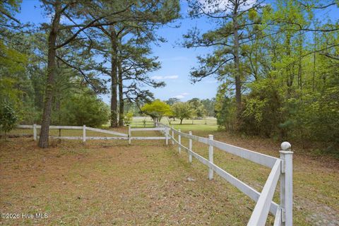 Tiny photo for 465 Annandale Trace, Hampstead, NC 28443 (MLS # 100566631)