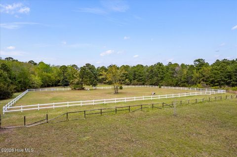 Tiny photo for 465 Annandale Trace, Hampstead, NC 28443 (MLS # 100566631)