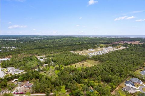 Tiny photo for 465 Annandale Trace, Hampstead, NC 28443 (MLS # 100566631)