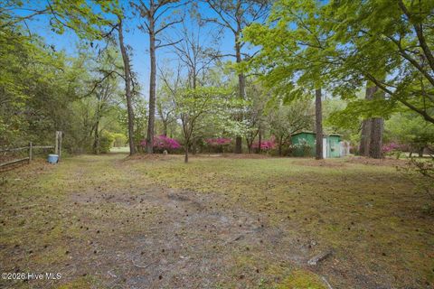 Tiny photo for 465 Annandale Trace, Hampstead, NC 28443 (MLS # 100566631)