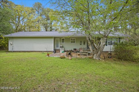 Tiny photo for 465 Annandale Trace, Hampstead, NC 28443 (MLS # 100566631)