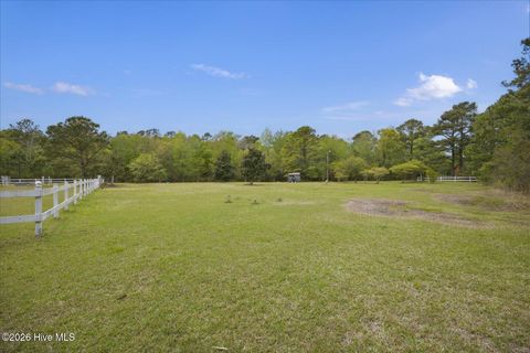 Tiny photo for 465 Annandale Trace, Hampstead, NC 28443 (MLS # 100566631)
