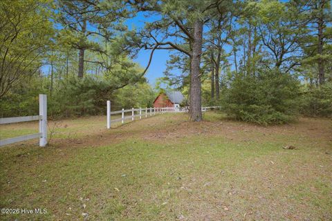Tiny photo for 465 Annandale Trace, Hampstead, NC 28443 (MLS # 100566631)