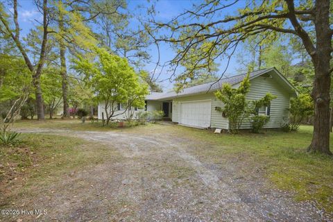 Photo of 465 Annandale Trace, Hampstead, NC 28443 (MLS # 100566631)