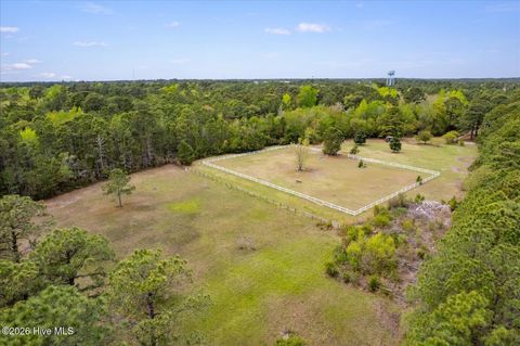 Tiny photo for 465 Annandale Trace, Hampstead, NC 28443 (MLS # 100566631)