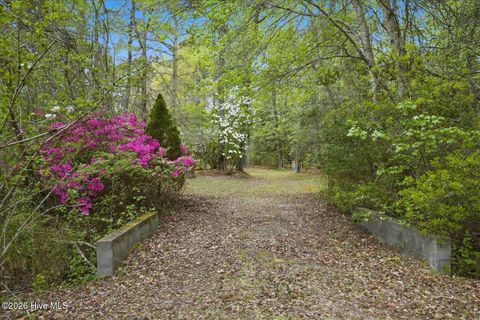Tiny photo for 465 Annandale Trace, Hampstead, NC 28443 (MLS # 100566631)