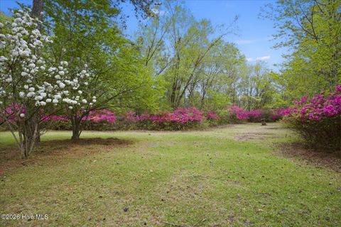 Tiny photo for 465 Annandale Trace, Hampstead, NC 28443 (MLS # 100566631)