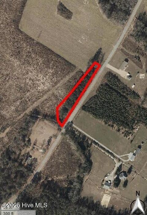 Vacant Land For Sale - TBD Brinkley Road<br/> Gates County, Corapeake, NC 27926
