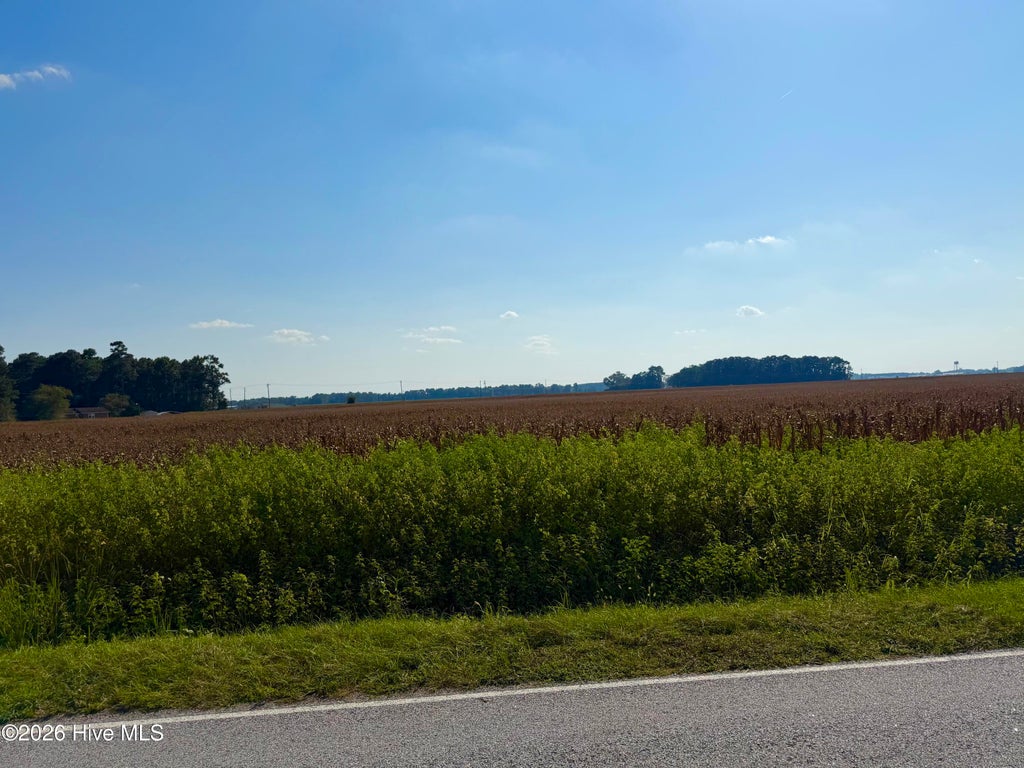 Photo of 0 Davis Road, Mount Olive, NC 28365 (MLS # 100601705)