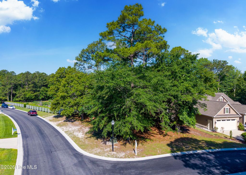 Photo of 403 Cypress Ridge Drive SE, Bolivia, NC 28422 (MLS # 100575238)