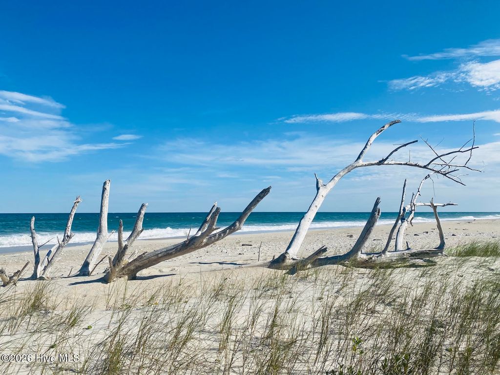 Photo of 3764 River Park Way NE, Leland, NC 28451 (MLS # 100555824)