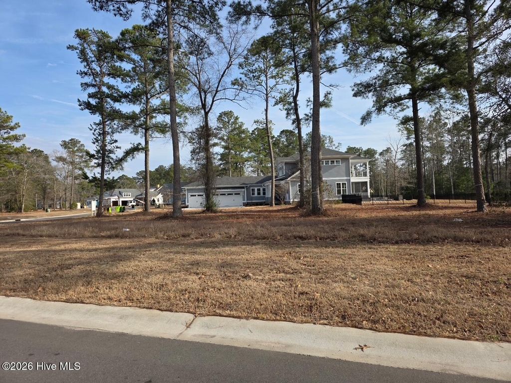Photo of 3764 River Park Way NE, Leland, NC 28451 (MLS # 100555824)