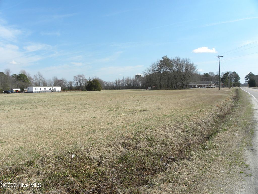 Photo of Tbd Burnette Farm Road, Tarboro, NC 27886 (MLS # 100562359)