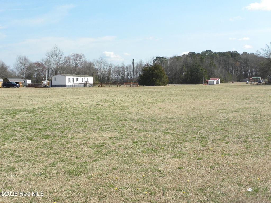 Photo of Tbd Burnette Farm Road, Tarboro, NC 27886 (MLS # 100562359)