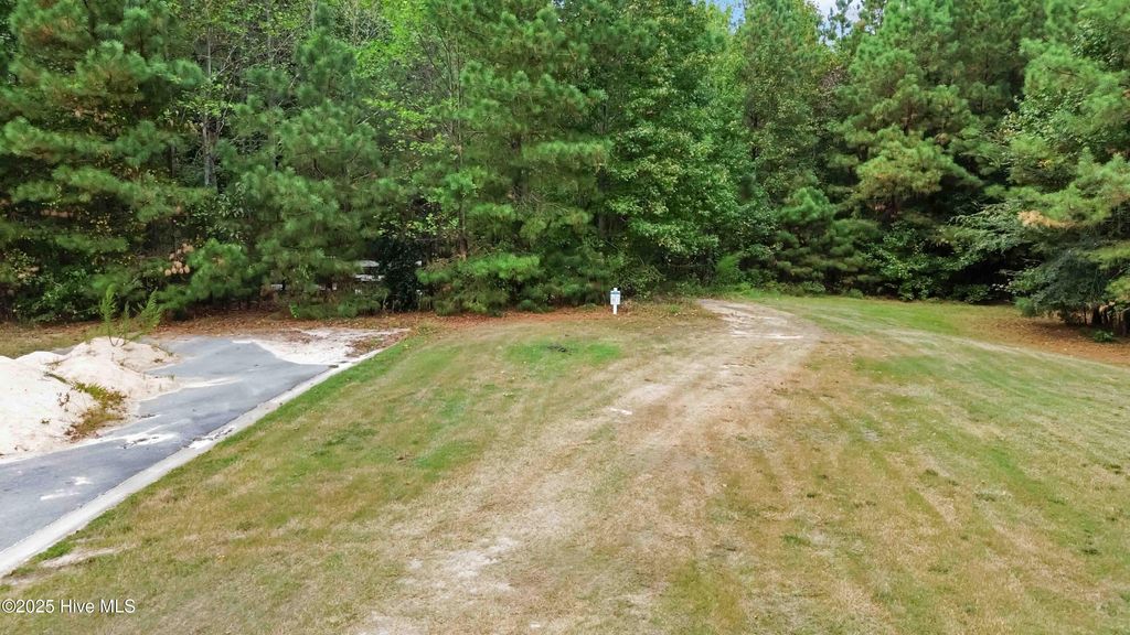 Photo of 2503 Belmont Lake Drive, Rocky Mount, NC 27804 (MLS # 100491807)