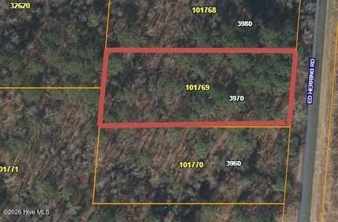 Vacant Land For Sale - 3970 Ed Herring Road<br/> Lenoir County, La Grange, NC 28551