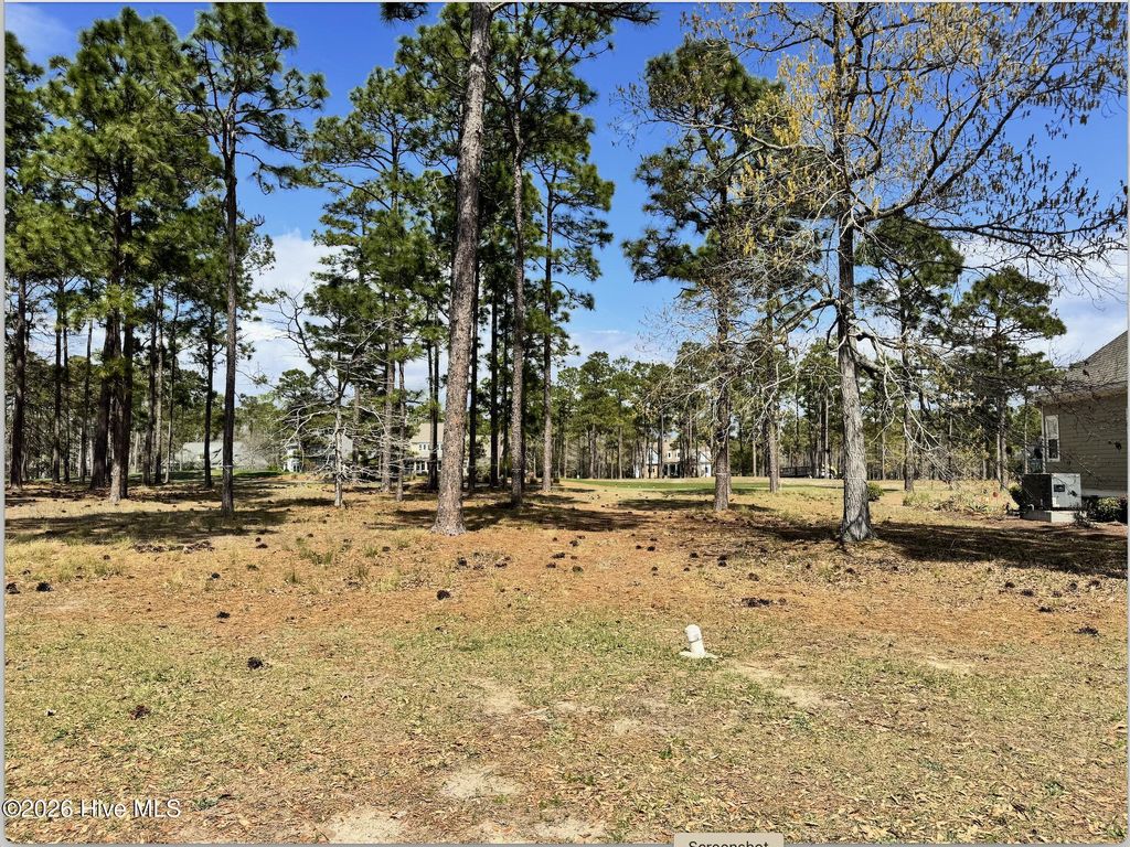 Photo of 425 Laurel Valley Drive, Shallotte, NC 28470 (MLS # 100563082)