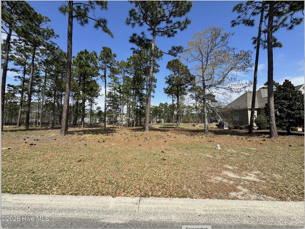 Photo of 425 Laurel Valley Drive, Shallotte, NC 28470 (MLS # 100563082)