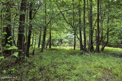 Tiny photo for 857 Mill River Road, Jacksonville, NC 28540 (MLS # 100589008)