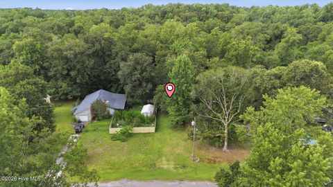 Tiny photo for 857 Mill River Road, Jacksonville, NC 28540 (MLS # 100589008)