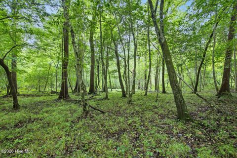 Tiny photo for 857 Mill River Road, Jacksonville, NC 28540 (MLS # 100589008)