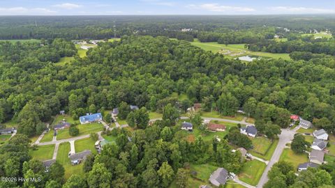 Tiny photo for 857 Mill River Road, Jacksonville, NC 28540 (MLS # 100589008)