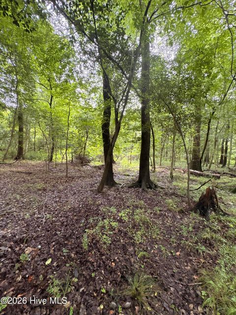 Tiny photo for 857 Mill River Road, Jacksonville, NC 28540 (MLS # 100589008)